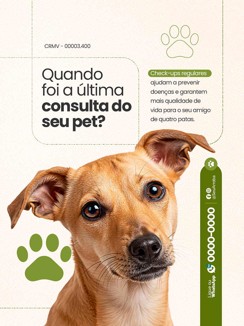 Flyer petshop quando foi ultima consulta